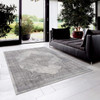 4' x 6' Gray Distressed Medallion Area Rug