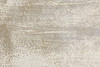 5' x 8' Ivory Gray and Gold Abstract Stain Resistant Area Rug