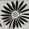 6' x 9' Black and White Floral Stain Resistant Non Skid Area Rug