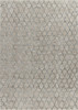 8' x 10' Beige Moroccan Stain Resistant Area Rug