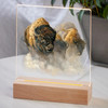 7.25" Phantoms of the Plains Bison Acrylic LED Lighted Night Light