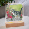 7.25" Cat Chasing Butterflies Acrylic LED Lighted Night Light