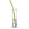 8" Mouth Blown Crystal Bud Vase