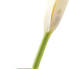 8" Mouth Blown Crystal Bud Vase