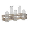 Set of Five Clear Cylinder Glass Decorative Bottles