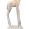 17" White Textured Giraffe Table Lamp with White Drum Shade