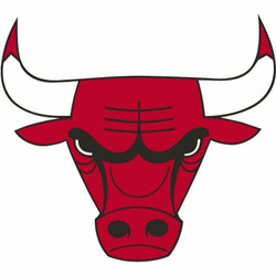 Chicago Bulls