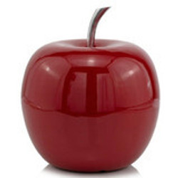 Fruit Fruit