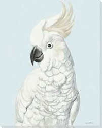 Birds Art Prints Birds Art Prints