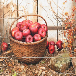Fruits & Vegetables Wood Signs Fruits & Vegetables Wood Signs
