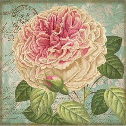 Flowers Metal Signs Flowers Metal Signs