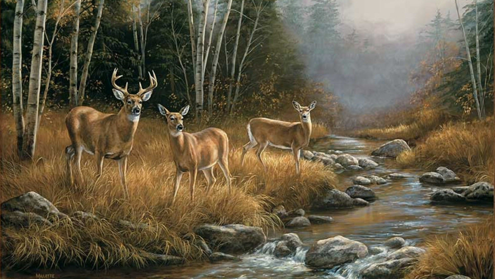 Wildlife Decor Ideas for Nature Inspired Interiors