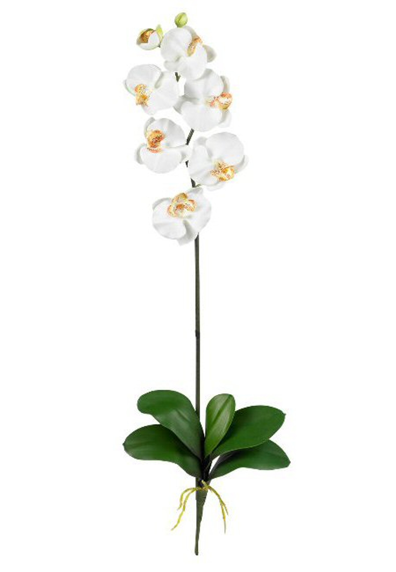 Nearly Natural Phalaenopsis Silk Orchid Flower Stems Cream Set Of 12