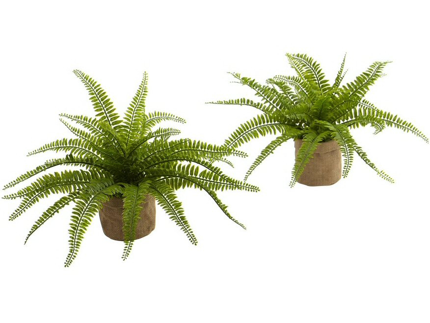 15" Ruffle Fern Bush Silk Plant with Burlap Base, Set of 2 Artificial