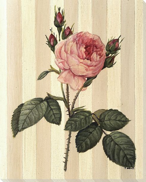 Flower Bright Pink Rose Wrapped Canvas Giclee Print Wall Art | Floral ...