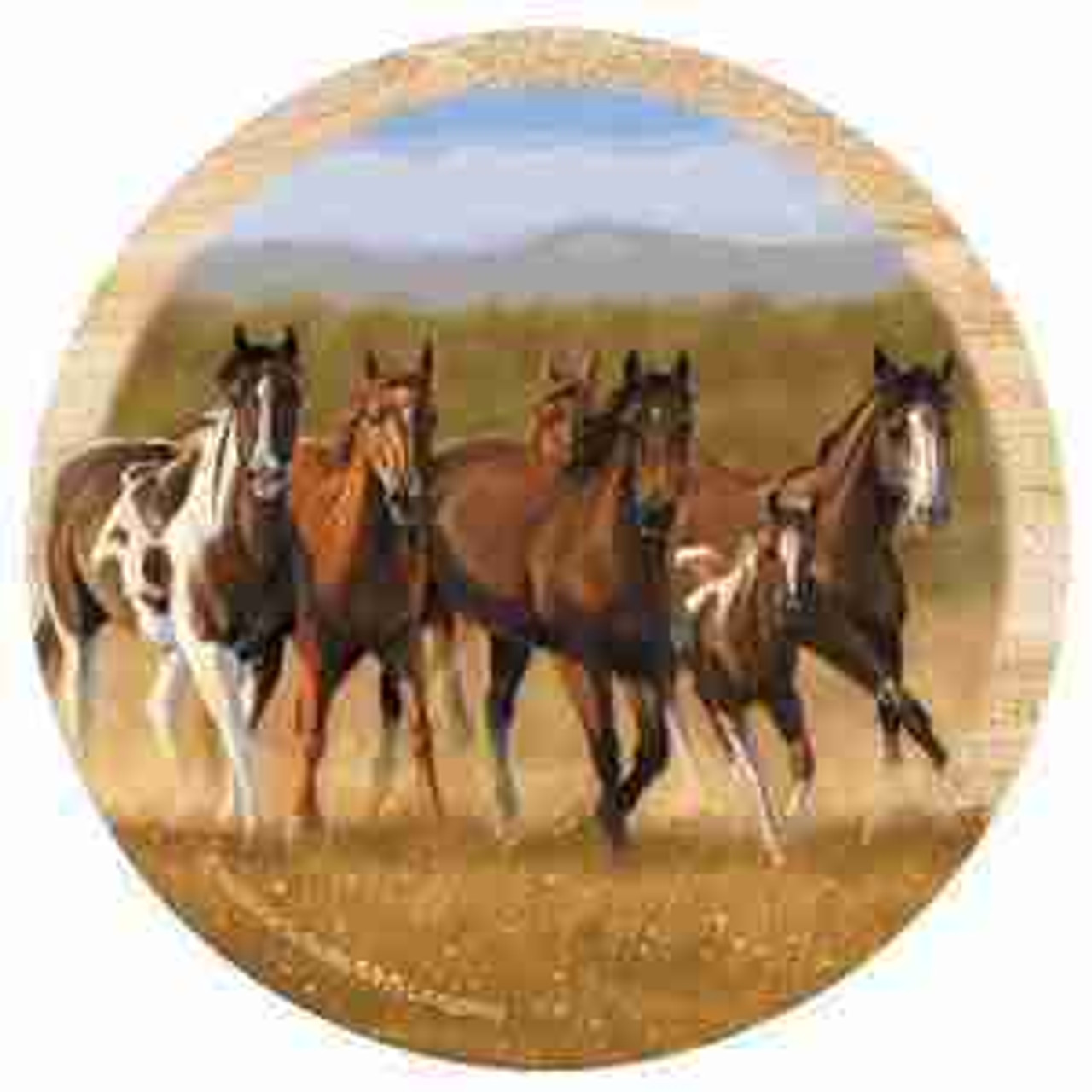Horse Coasters Horse Coasters