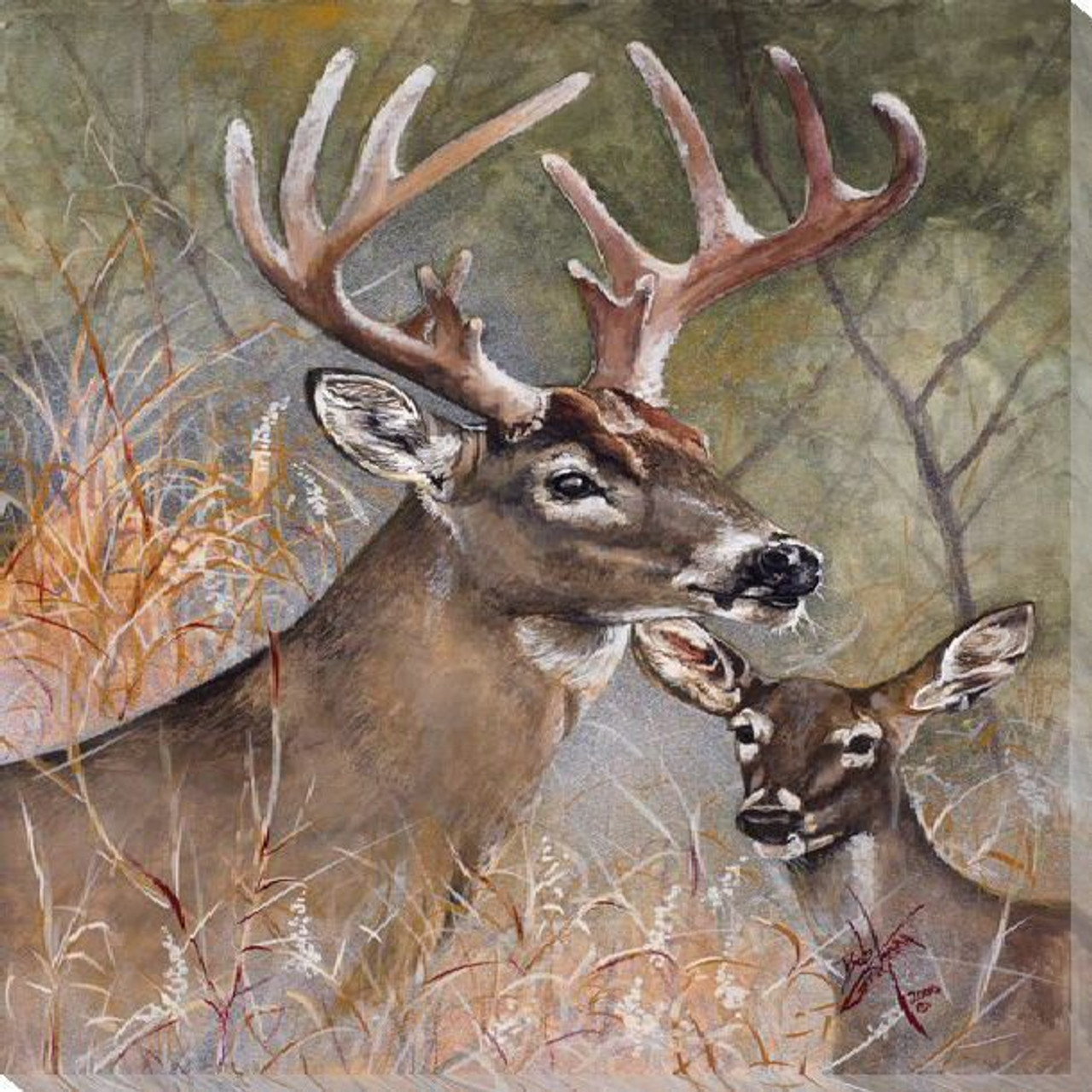 Wildlife Art Prints Wildlife Art Prints