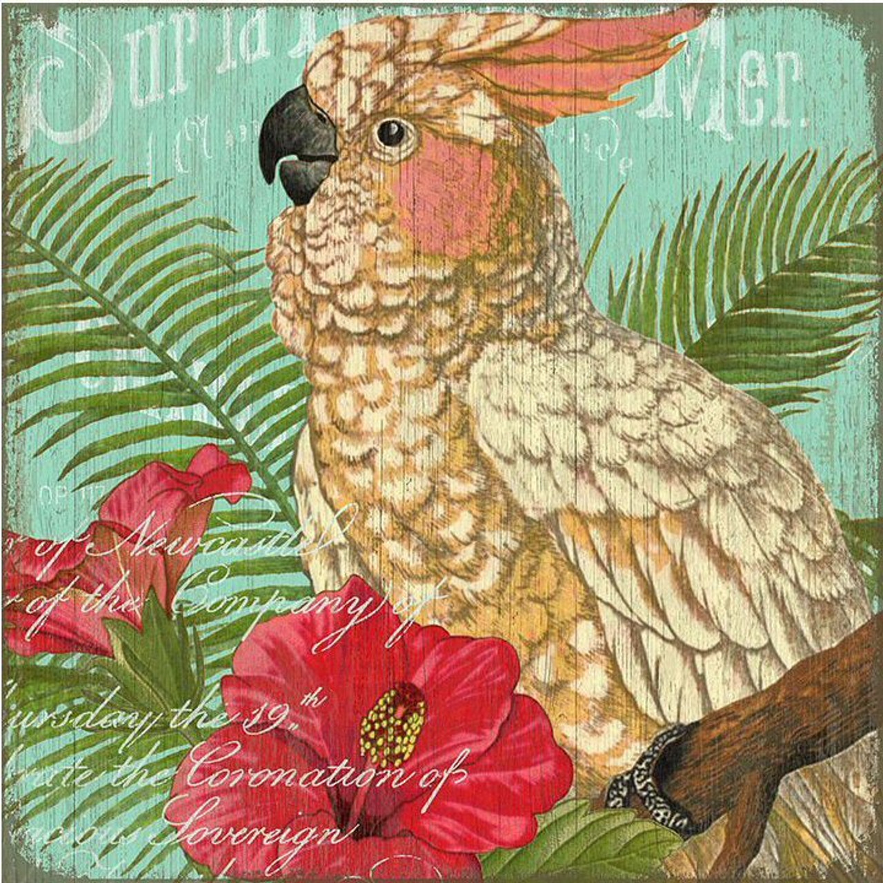 Birds Metal Signs Birds Metal Signs