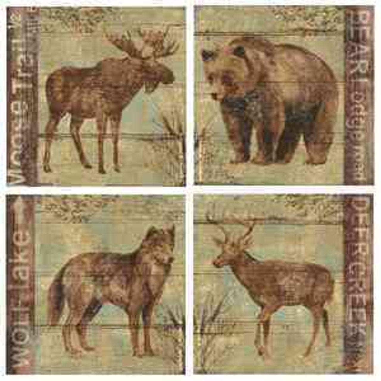 Wildlife Coasters Wildlife Coasters