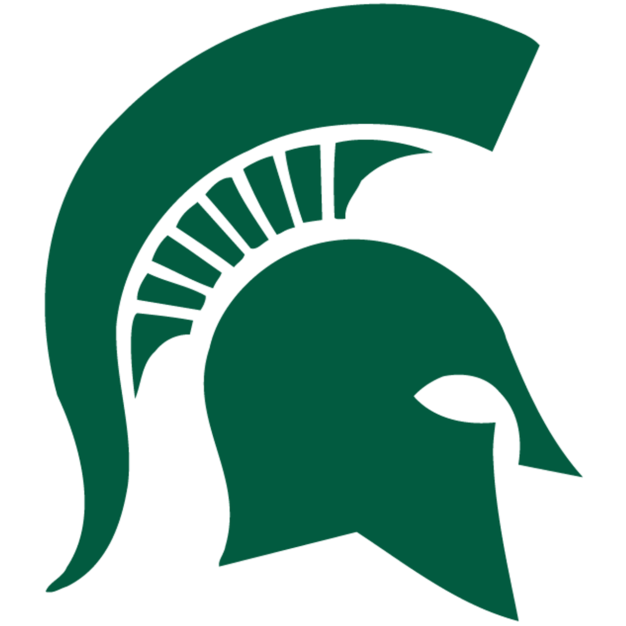 Michigan State Spartans Michigan State Spartans