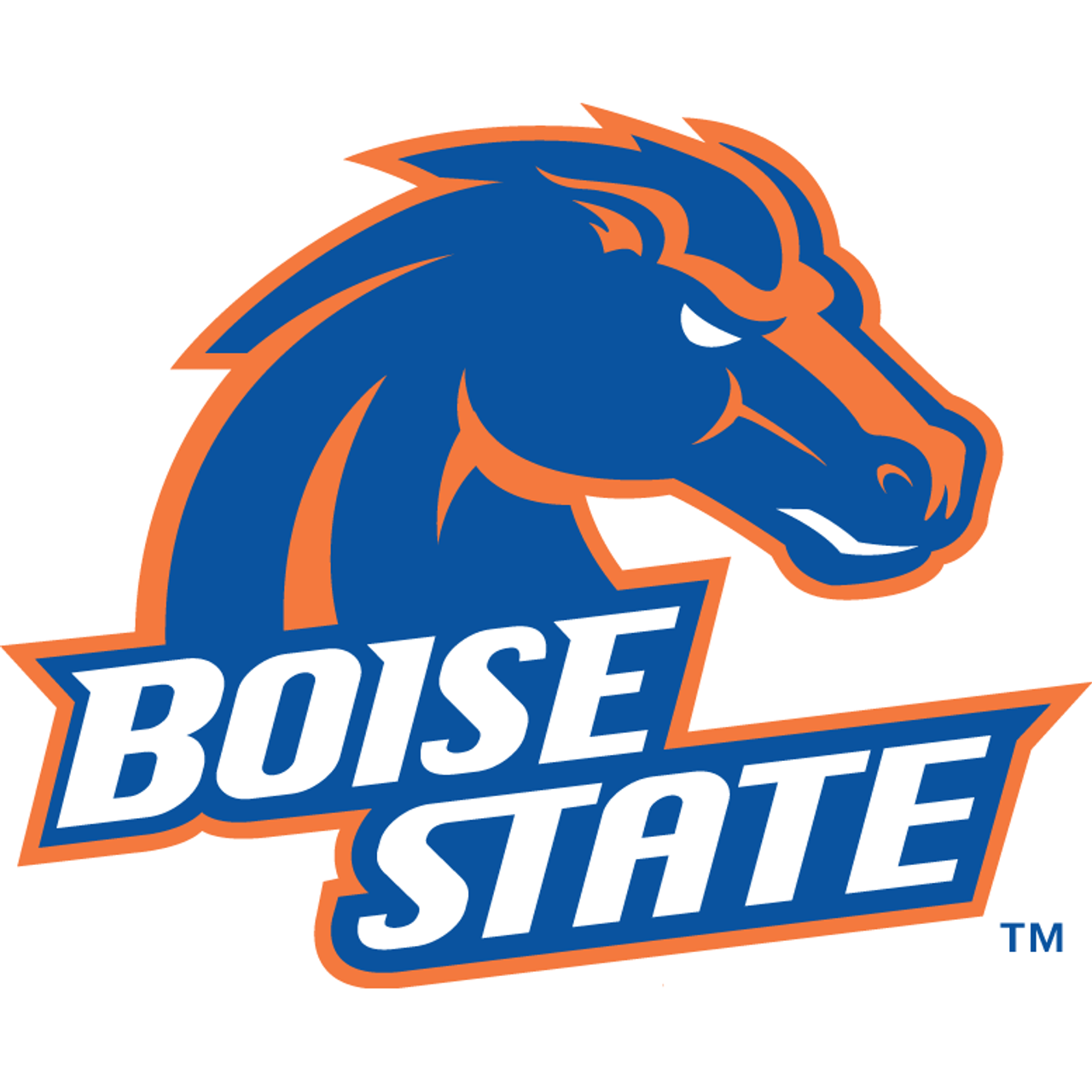 Boise State Broncos Boise State Broncos