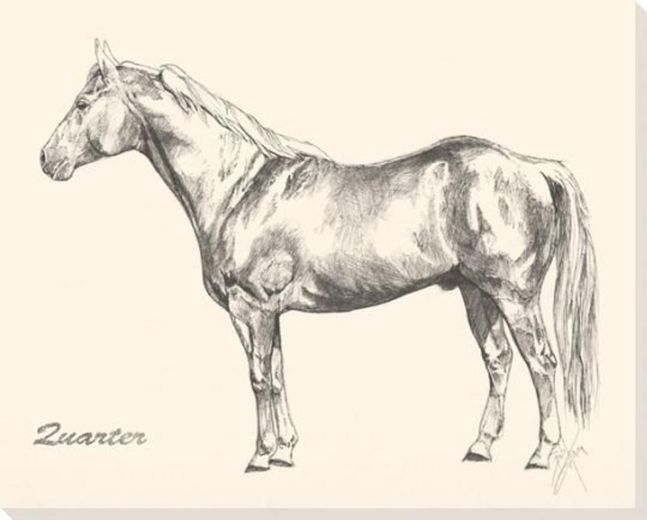 Horse Sketch Wall Art for Sale  Redbubble