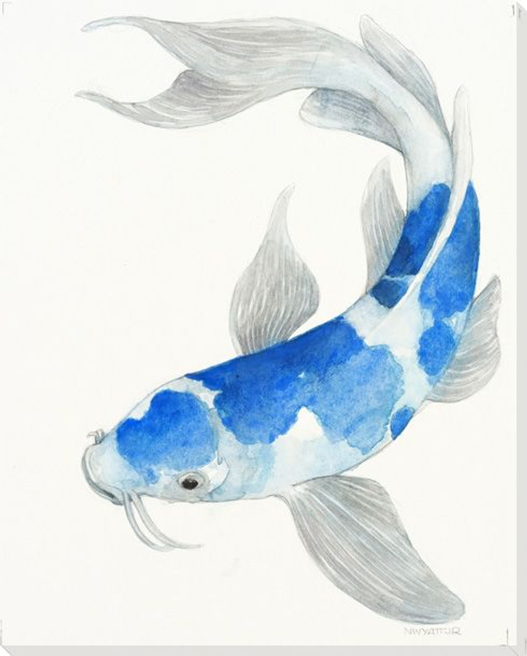 Blue Koi  Fish  II Wrapped Canvas Giclee Print Wall Art  