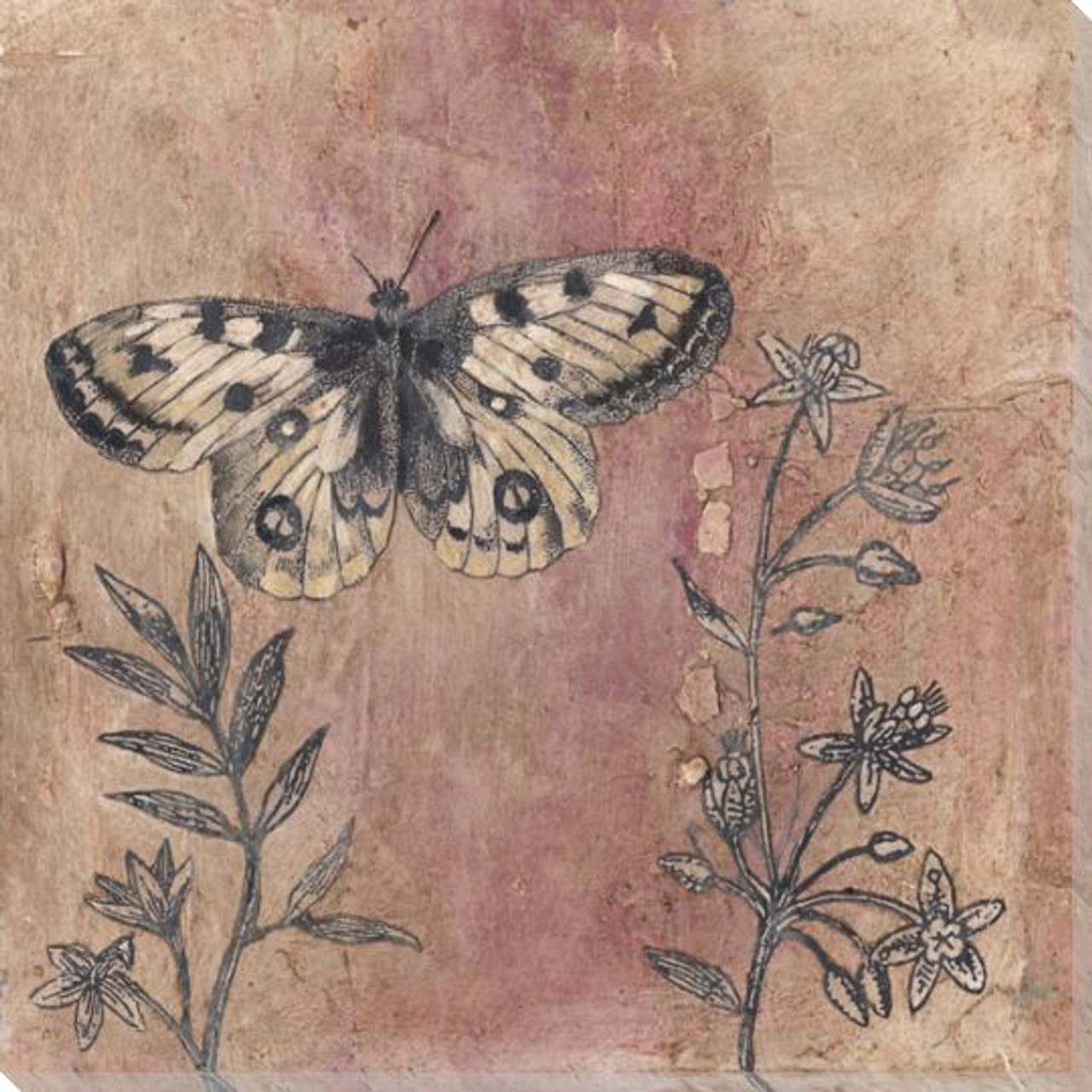 Butterfly Art  Wall Art Prints