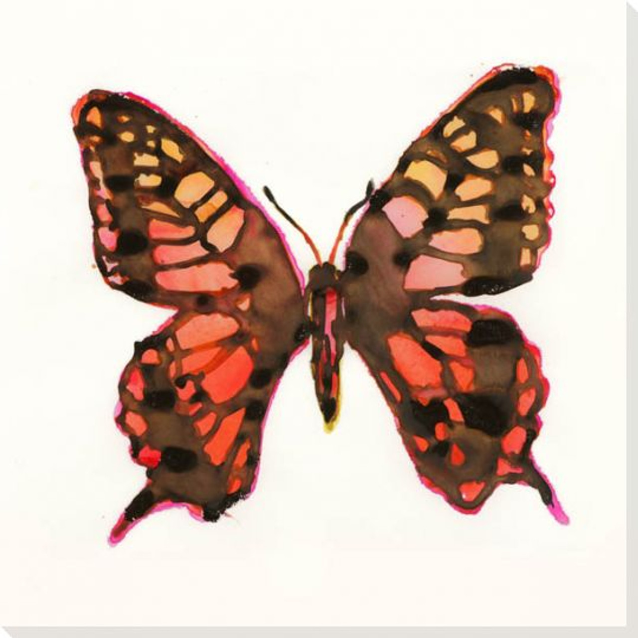 Majestic Butterfly III Wall Art, Canvas Prints, Framed Prints, Wall Peels |  Great Big Canvas