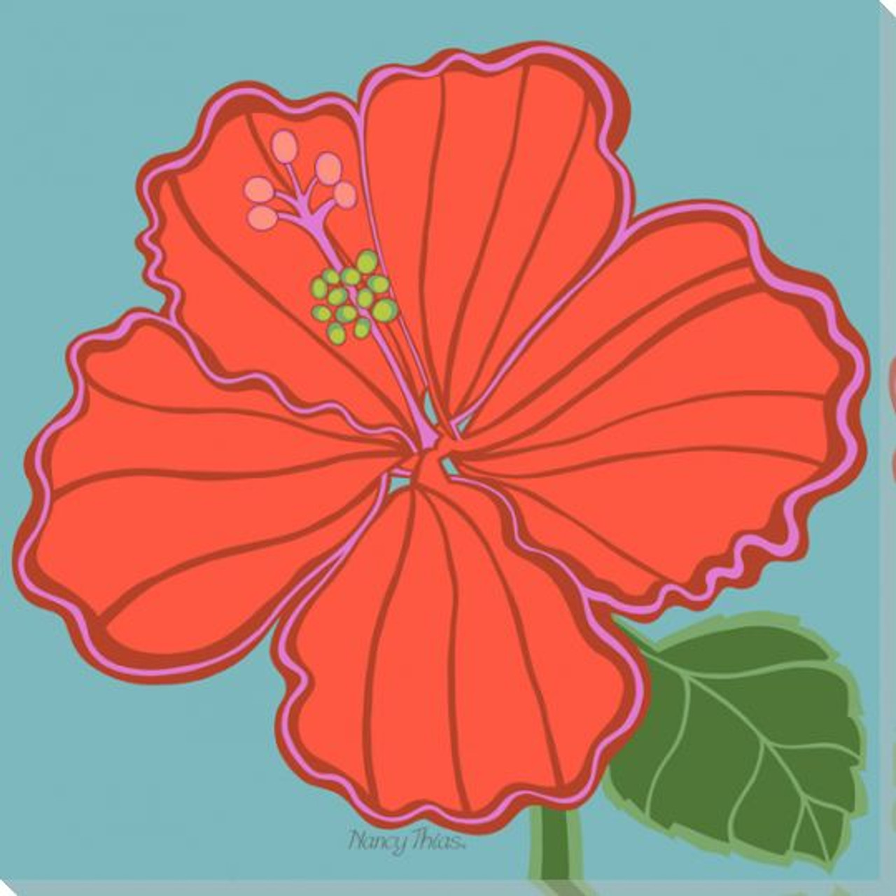 Hibiscus flower drawing hi-res stock photography and images - Alamy