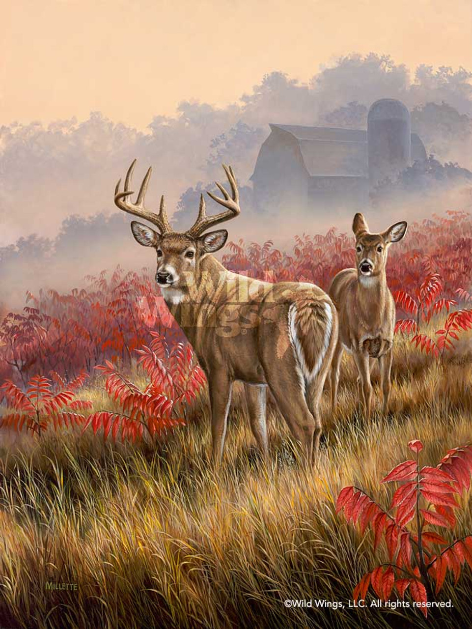 Lifting Fog Whitetail Deer Art Print Wall Art