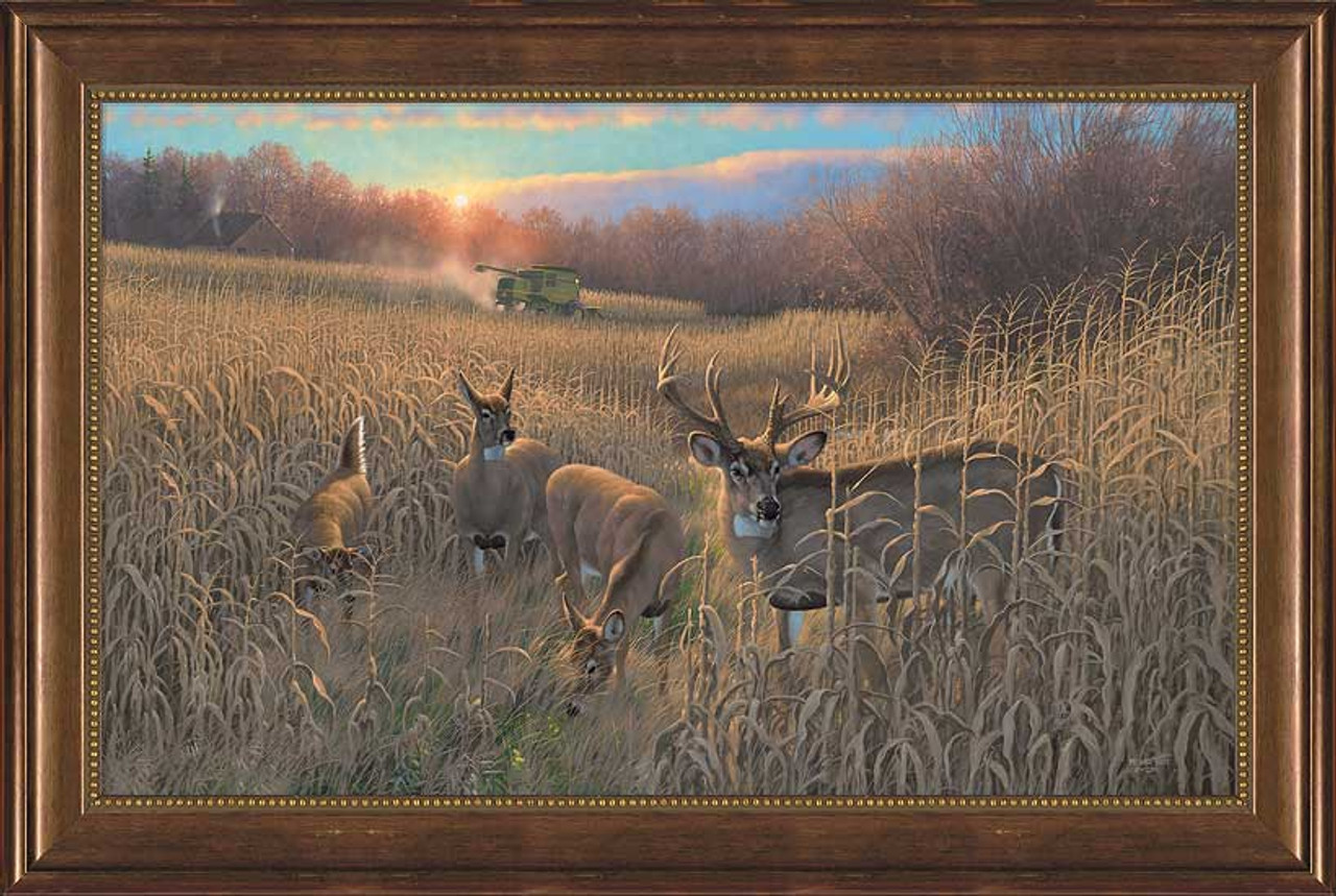 Whitetail Deer Canvas Art Print