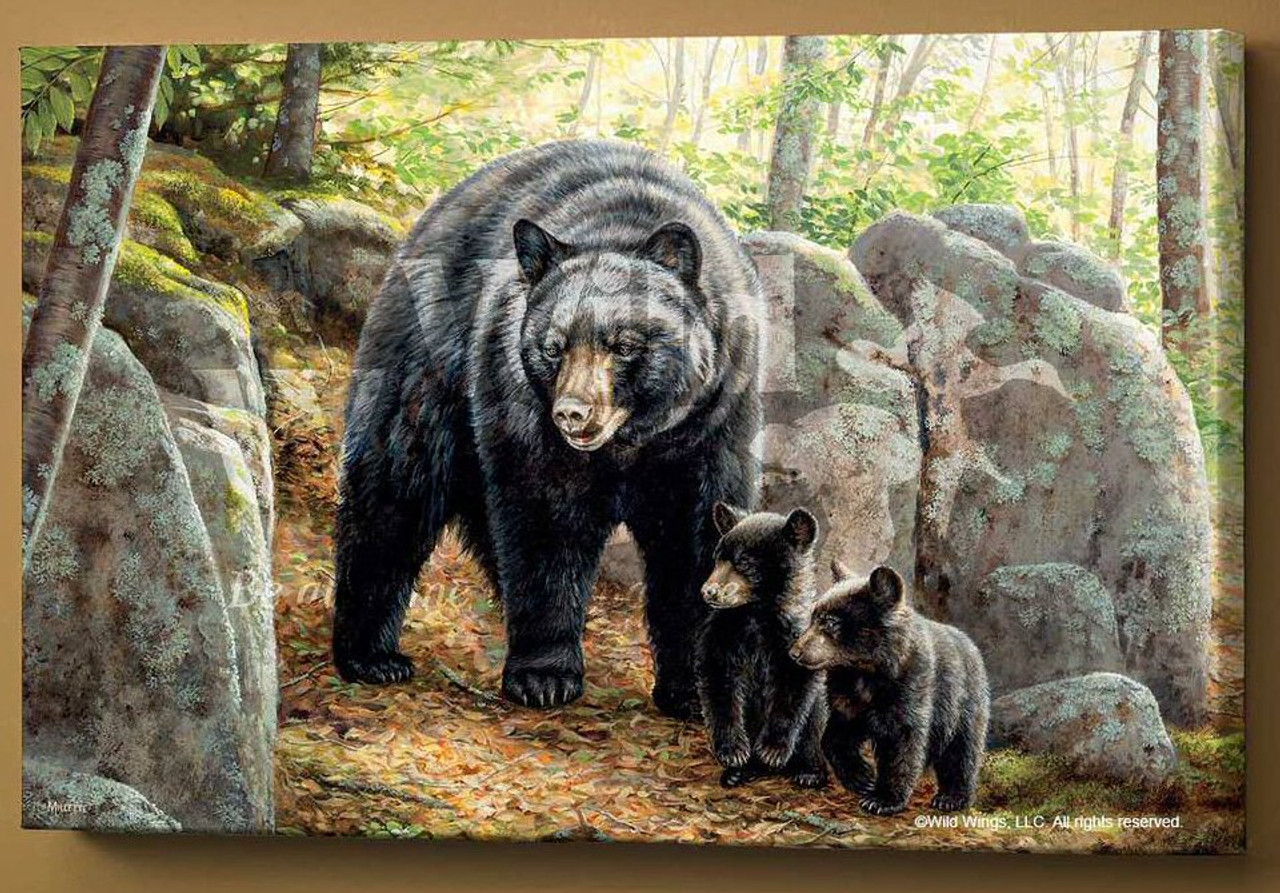 https://cdn11.bigcommerce.com/s-oo0gdojvjo/images/stencil/1280x1280/products/26893/36743/northwoods-springtime-black-bear-with-cubs-wrapped-canvas-giclee-print-wall-art-wild-wings__99290.1537877456.jpg?c=2