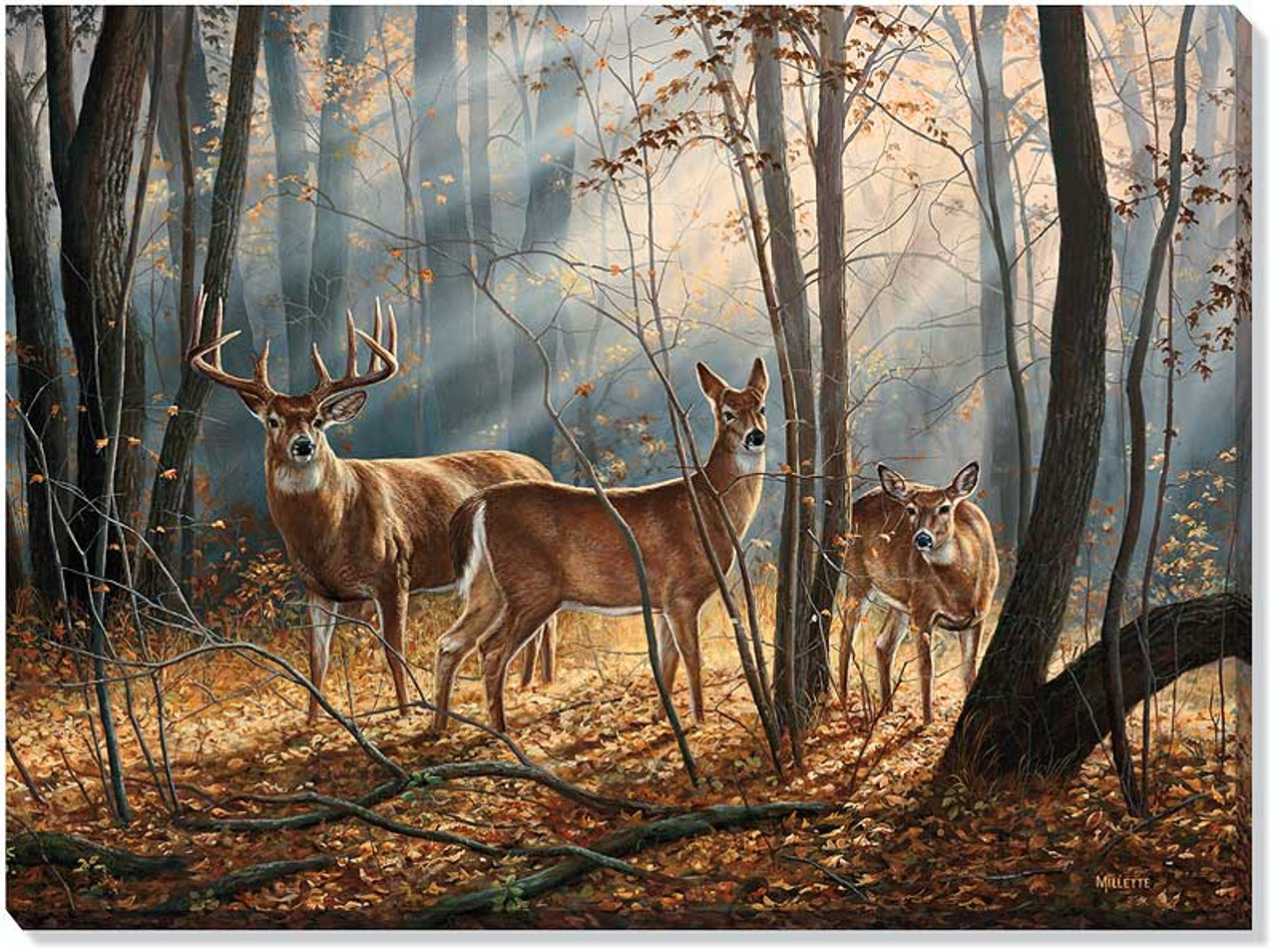 Woodland Splendor Whitetail Deer Wrapped Canvas Giclee Print Wall Art -  Wall Decor - Wild Wings