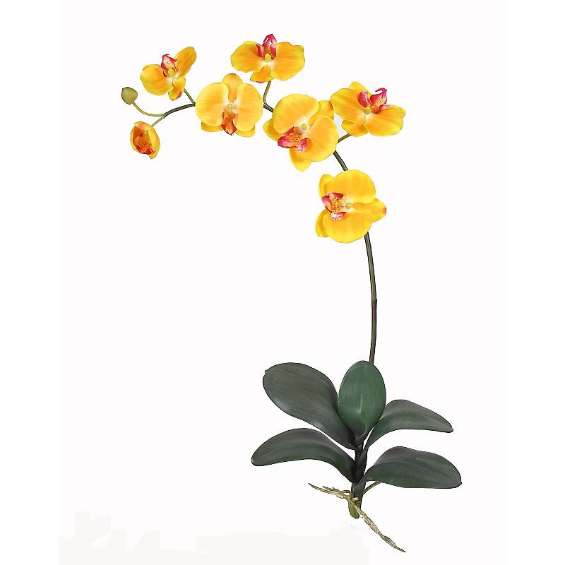Nearly Natural Phalaenopsis Silk Orchid Flowers (6 Stems) Gold/Yellow