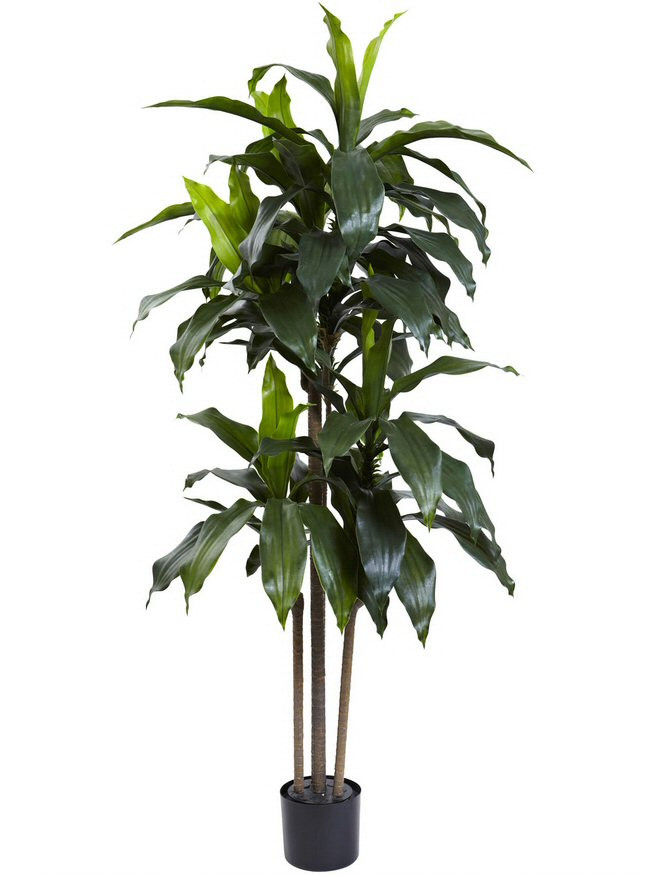 Nearly Natural 5 ft. UV-Resistant Indoor/Outdoor Dracaena Plant