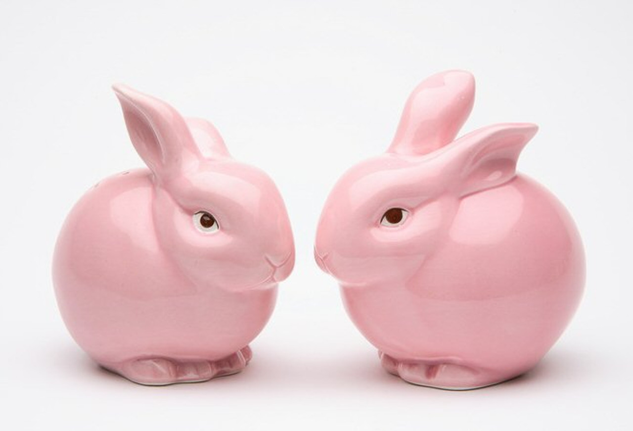 https://cdn11.bigcommerce.com/s-oo0gdojvjo/images/stencil/1280x1280/products/3950/5972/61107-pink-bunny-rabbits-ceramic-salt-and-pepper-shakers-set-of-4__95246.1536906695.jpg?c=2