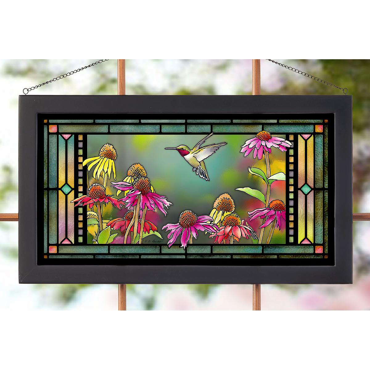 ruby-hummingbird-in-echinacea-