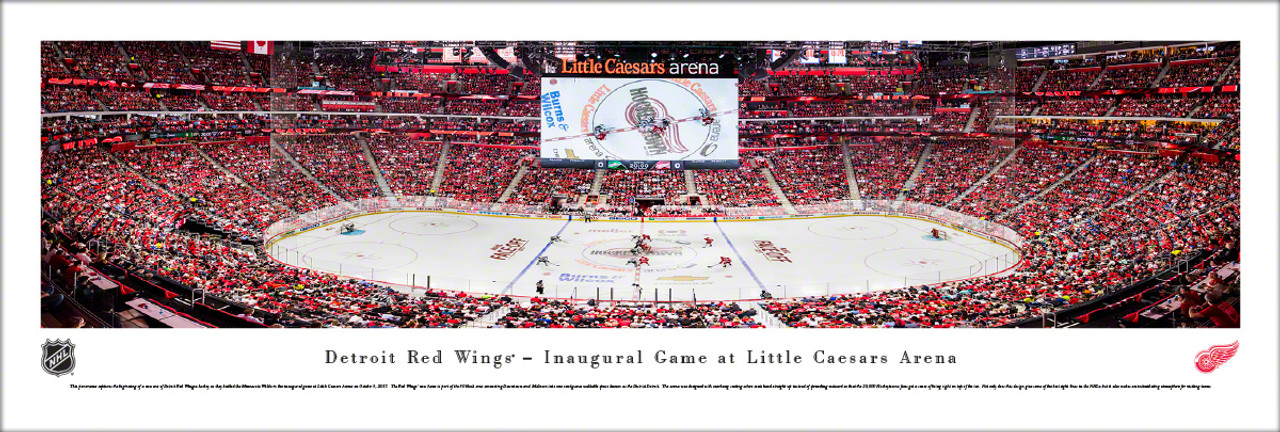 Red Wings 2, Islanders 1: Best photos from Little Caesars Arena