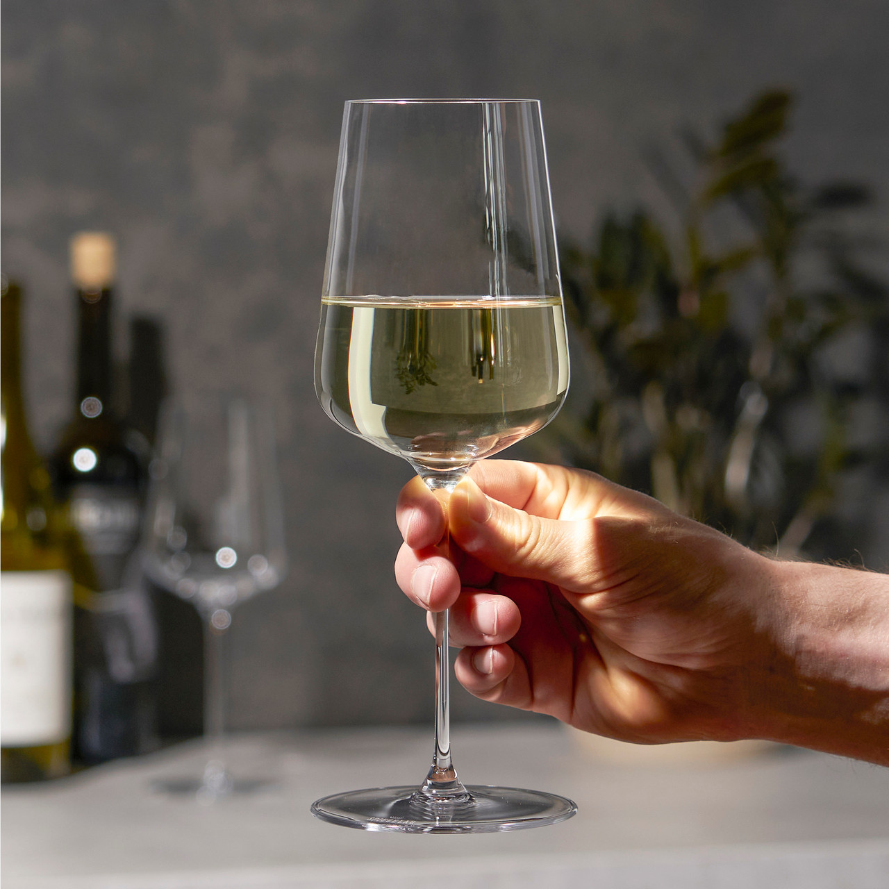 White Wine Glasses (Set of 2)