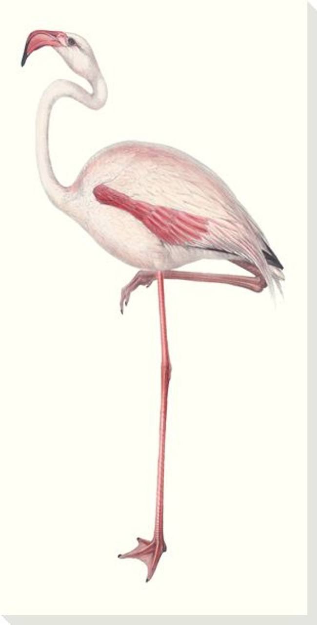 Red Flamingo Bird Grey Scenery, Framed Canvas Wall Art.3D Giclee Print,  Genuine Wood Framed,Brushstroke Texture that Resembles Hand Painted Oil  Painting. 5 Frame Designs : Amazon.in: Home & Kitchen