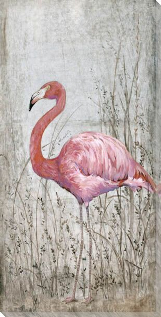 Pink Flamingo Framed On Canvas by Stanley Print House Print