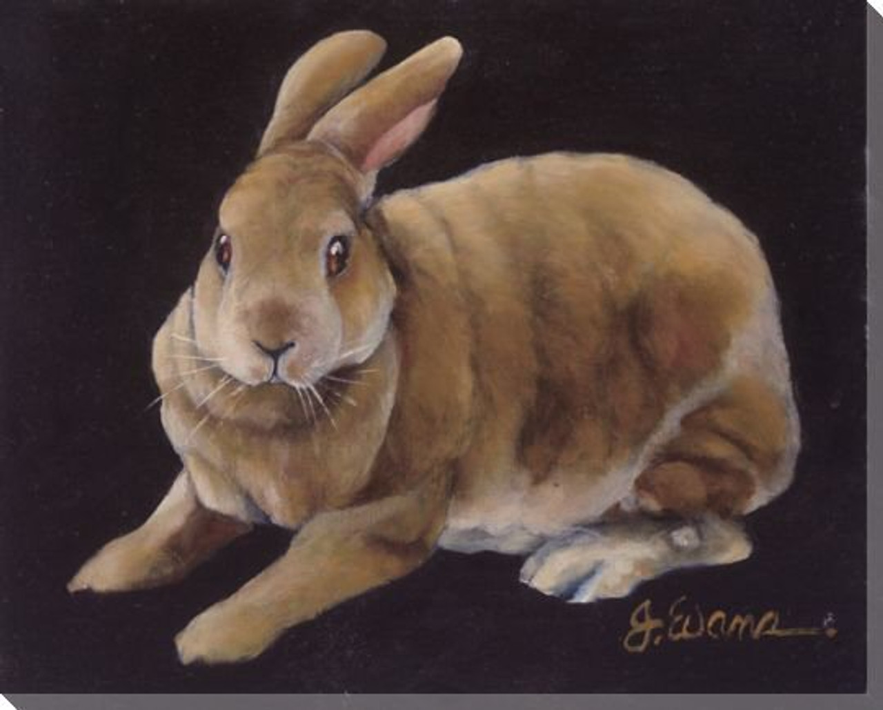 Jack Bunny Rabbit Wrapped Canvas Giclee Print Wall Art