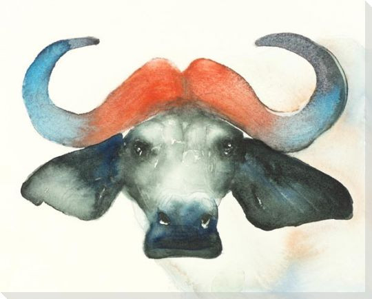 Water Buffalo Wrapped Canvas Giclee Art Print Wall Art Wall