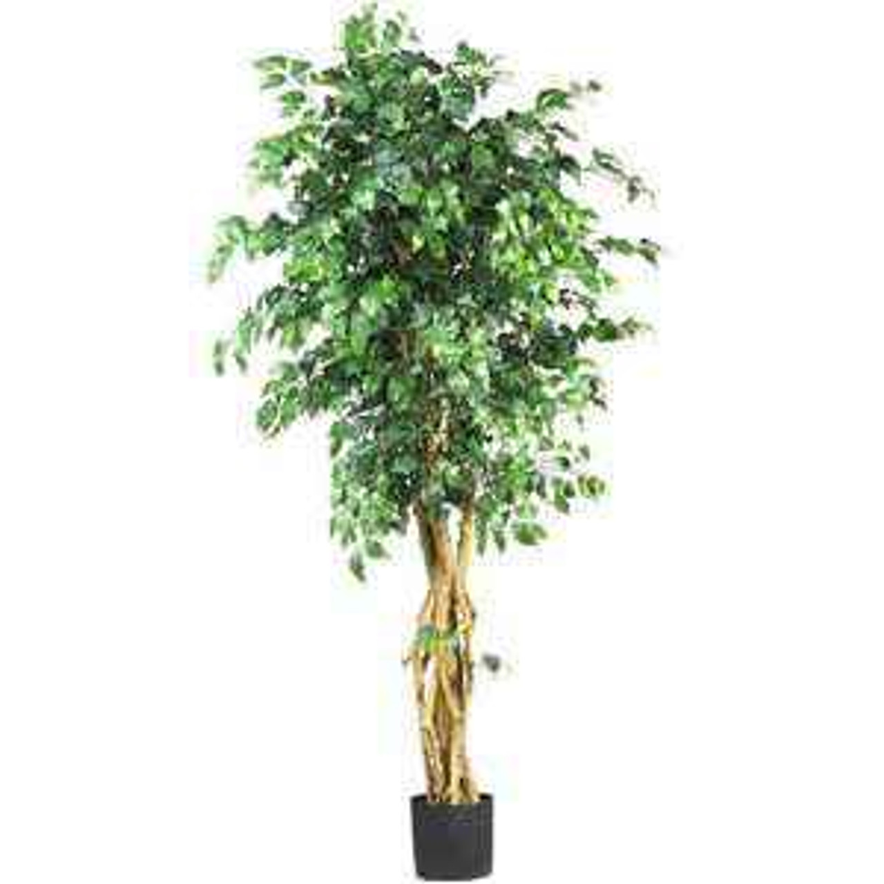 Silk Trees Silk Trees
