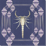Zodiac Art Prints