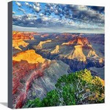 Art Prints