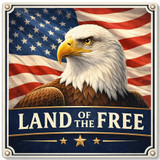 Patriotic Wall Signs