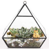 Terrariums