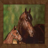 Horses Art Prints